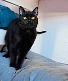 Ніжна та гарна дівчинка Луна from Kiev