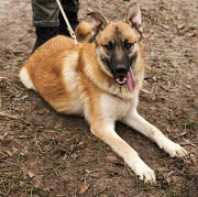 Молодий красивий Локі from Kiev