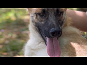 Молодий красивий Локі from Kiev