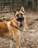 Молодий красивий Локі from Kiev