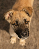 Молодий красивий Локі from Kiev