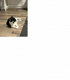 Клубок щастя Плюша from Kiev