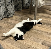 Клубок щастя Плюша из г.Киев