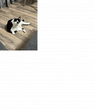 Клубок щастя Плюша from Kiev