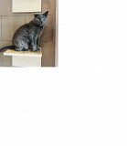 Голубенький і дуже гарний Артур from Kiev