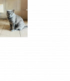 Голубенький і дуже гарний Артур from Kiev