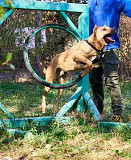 Файний рудий Драйв from Kiev