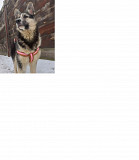 Шикарний і граційний хлопець Скай из г.Киев