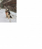 Шикарний і граційний хлопець Скай from Kiev