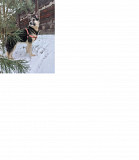 Шикарний і граційний хлопець Скай from Kiev