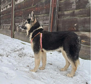 Шикарний і граційний хлопець Скай from Kiev