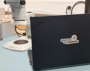 Get your Crea-stickers now from Los Angeles