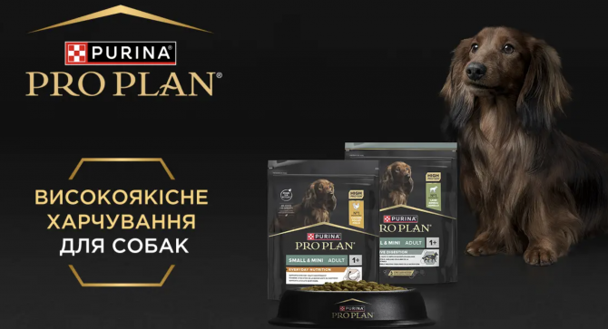 Отримайте безкоштовно набір PRO PLAN Киев - изображение 1