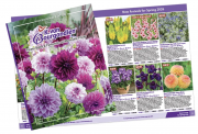 Free Flower Catalog from Madison