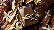 YSL Libre Santal Couture: 10.000 Probenboxen werden verlost Лейпциг