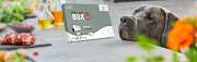 Gratis PLATINUM Schnupperbox für Hunde Санкт-Пёльтен