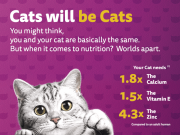 Free WHISKAS Wet Cat Food Sample from Whiskas India Мумбаи