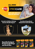 Free Sample of New Pedigree PROCARE Dog Food Бангалор