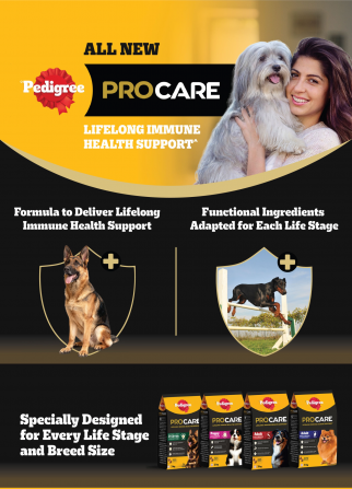 Free Sample of New Pedigree PROCARE Dog Food Бангалор - изображение 1
